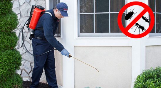 Han Bit İlaçlama böcek ilaçlama ve haşere kontrolü — ilaclama-tr.com